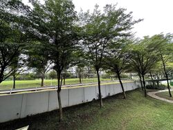 Blk 611 Clementi West Street 1 (Clementi), HDB 3 Rooms #515289201